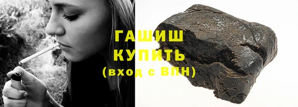 шишки Няндома