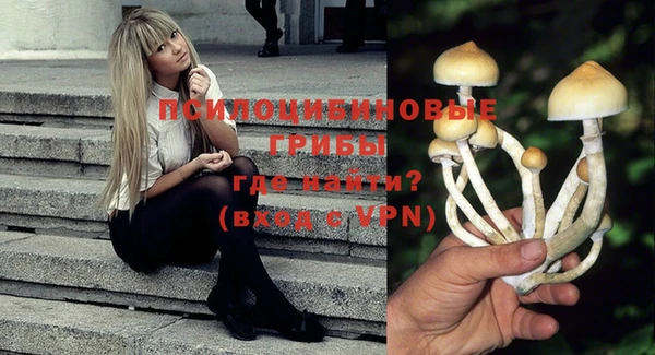 кокс Осташков