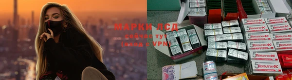 кокс Осташков