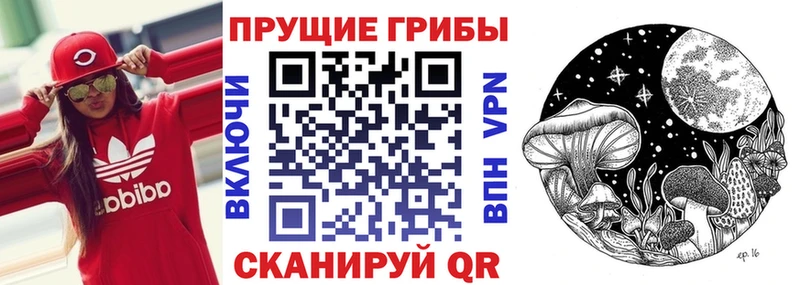 МЕГА как зайти Куртамыш Галлюциногенные грибы GOLDEN TEACHER